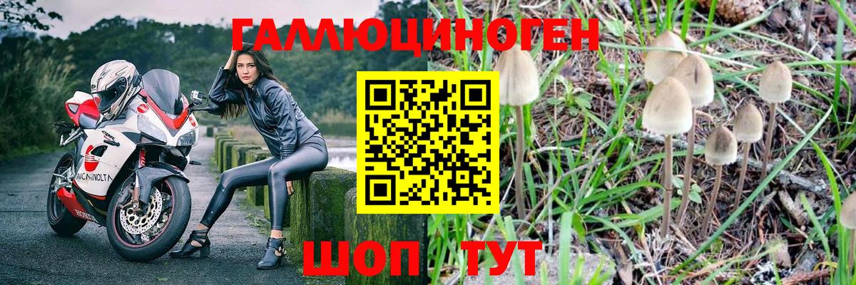 Советский  Псилоцибиновые грибы Psilocybe  Вход с VPN 
